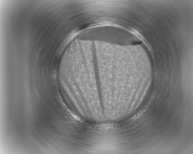 X0000051890993200507222011