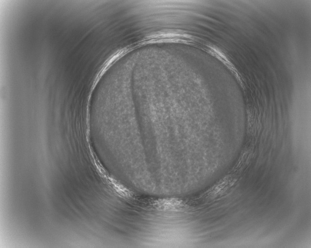 X0000051890994200507222011