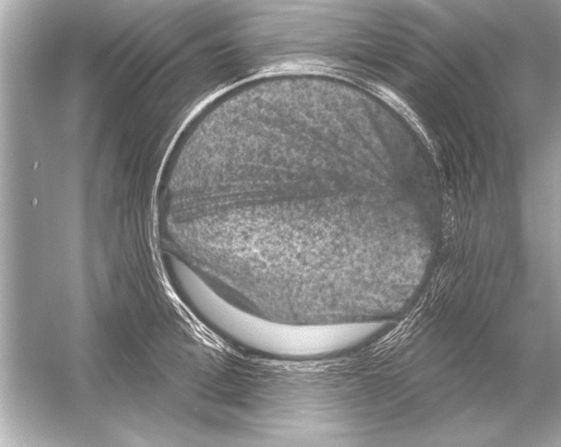 X0000051890996200507222011