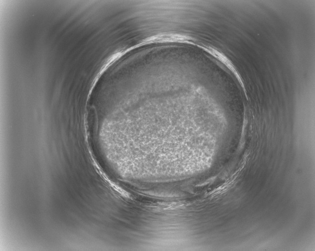 X0000051890997200507222011