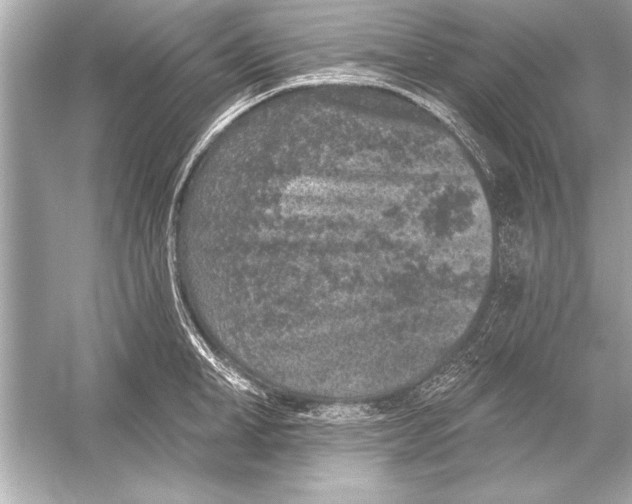 X0000051890998200507222011