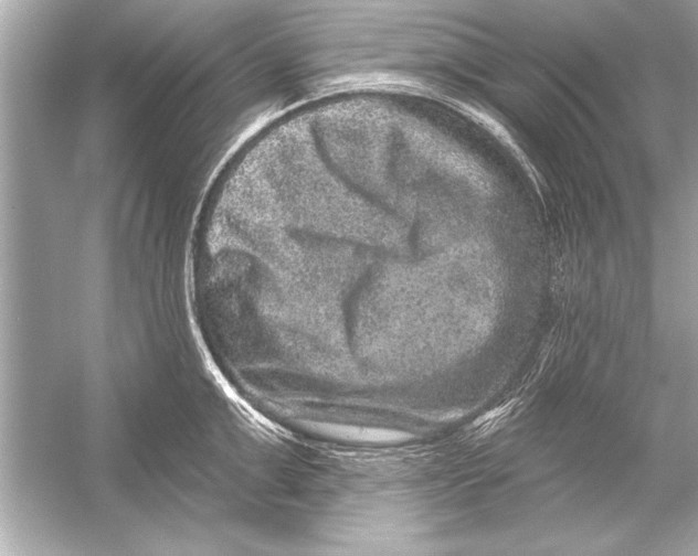 X0000051890999200507222011