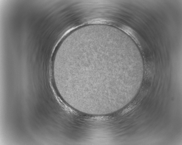 X0000051891000200507222011