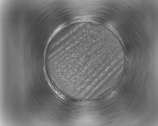 X0000051891002200507222011