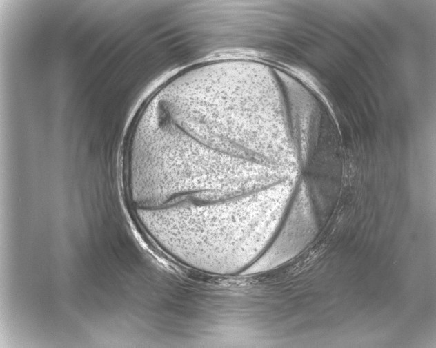 X0000051891003200507222011