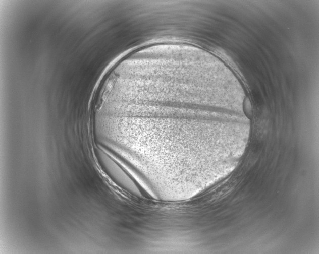 X0000051891004200507222011