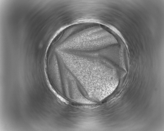 X0000051891005200507222011