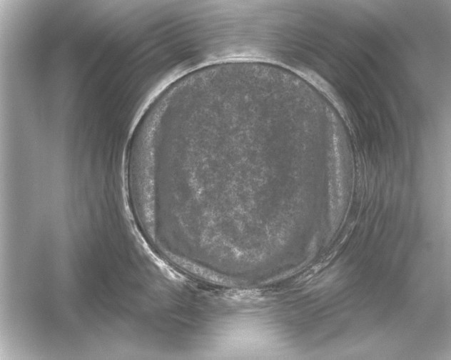 X0000051891006200507222011