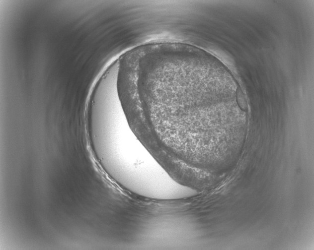 X0000051891008200507222011