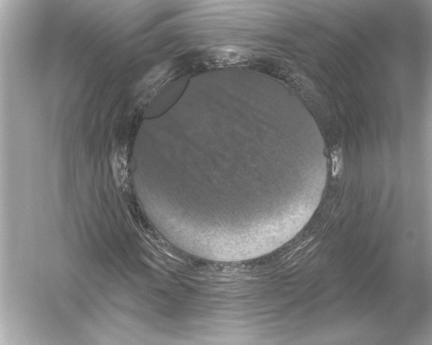 X0000051891011200507222010