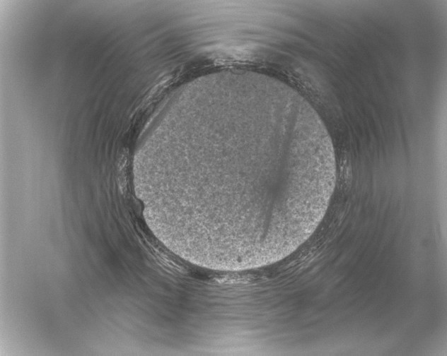 X0000051891012200507222010