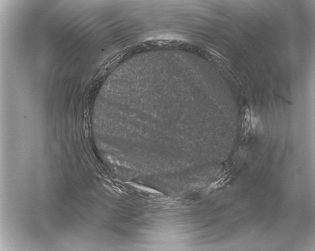 X0000051891014200507222010