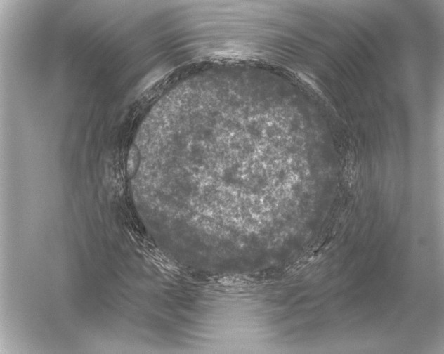 X0000051891015200507222010