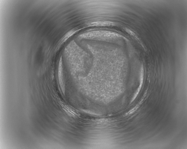 X0000051891017200507222010