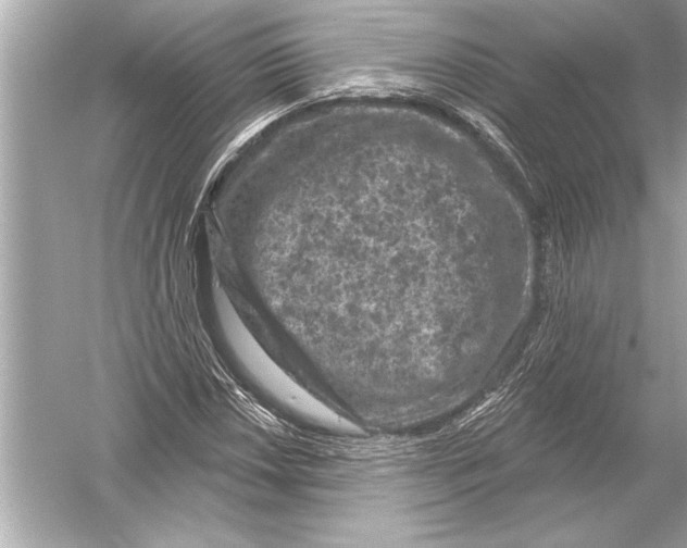 X0000051891018200507222010