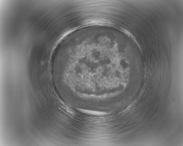 X0000051891019200507222010