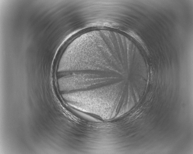 X0000051891020200507222010