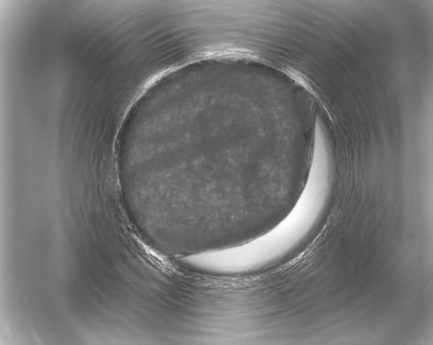 X0000051891022200507222010