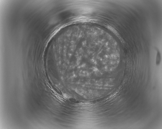 X0000051891023200507222010