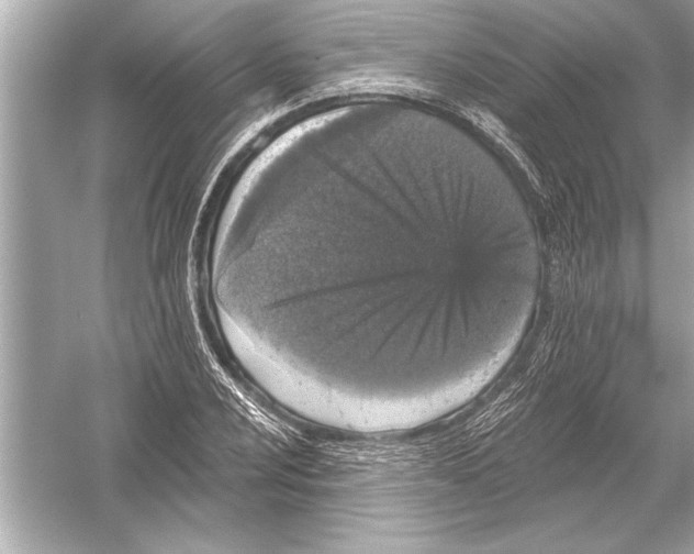 X0000051891024200507222010