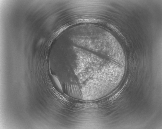 X0000051891025200507222010