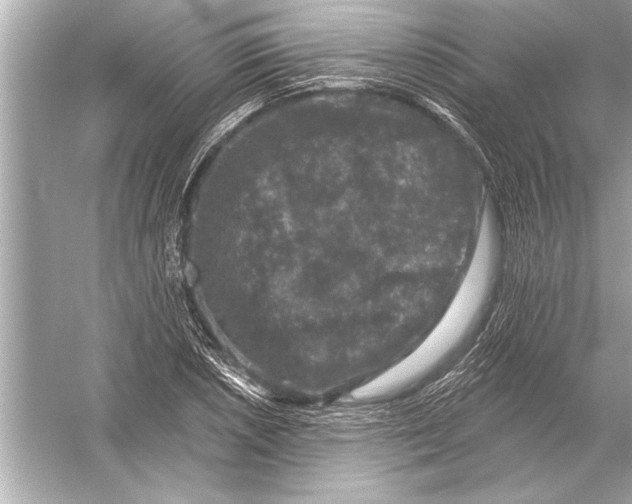 X0000051891026200507222010