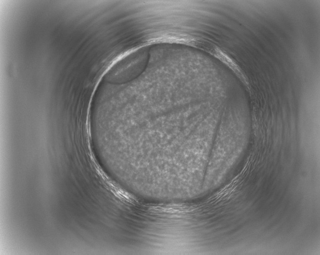 X0000051891028200507222010