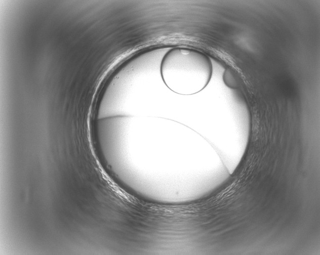 X0000051891032200507222010