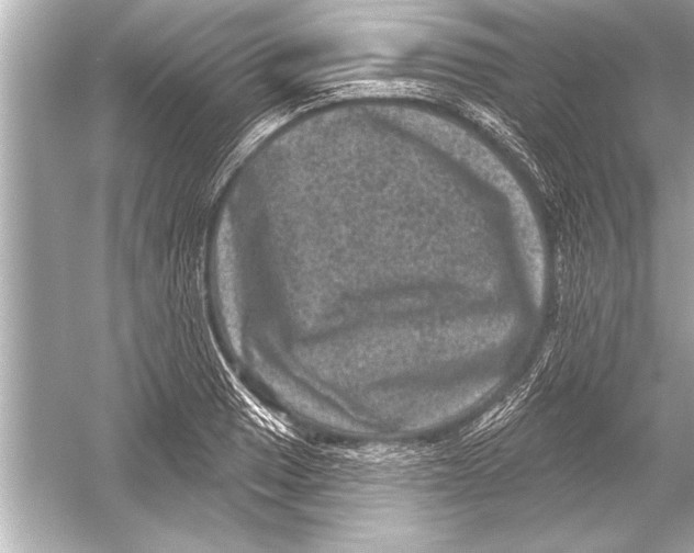 X0000051891033200507222010