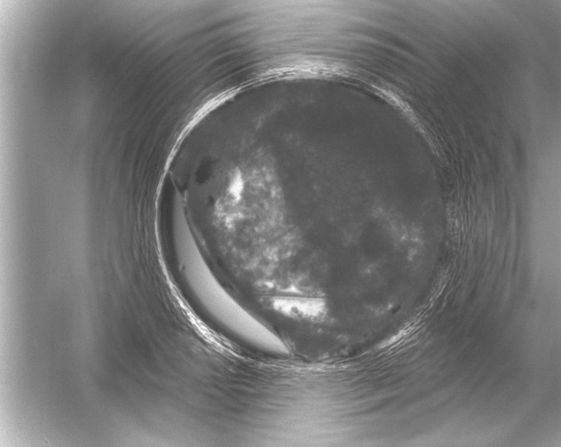 X0000051891034200507222010