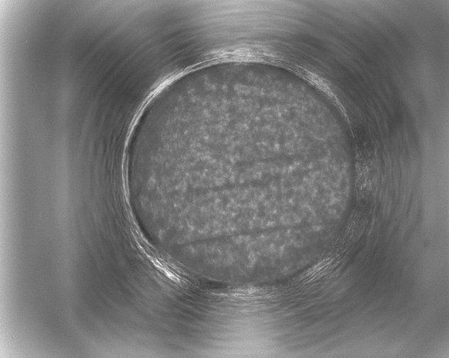 X0000051891035200507222010