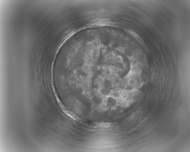 X0000051891039200507222010