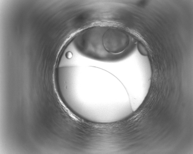 X0000051891040200507222010