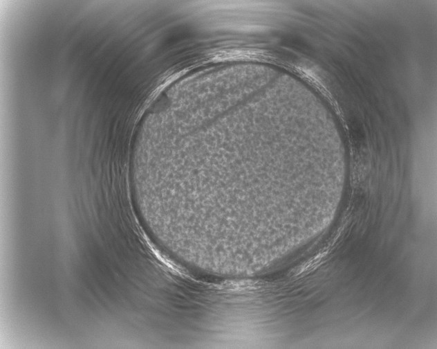 X0000051891041200507222010