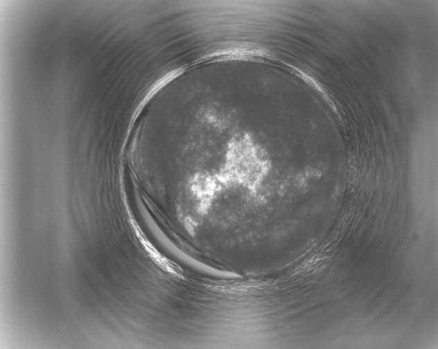 X0000051891042200507222010