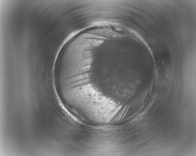 X0000051891045200507222010