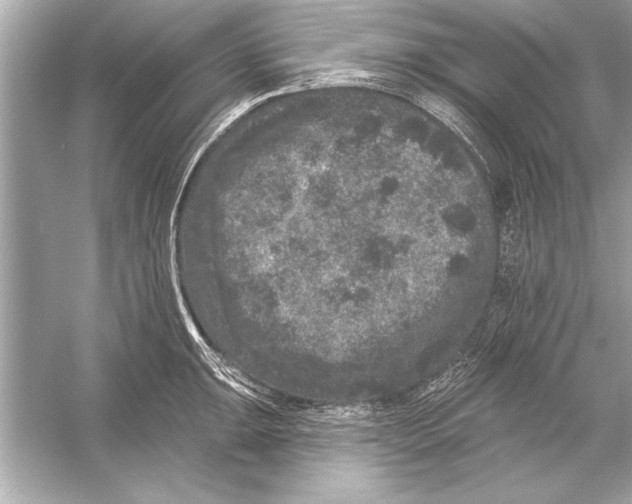 X0000051891047200507222010