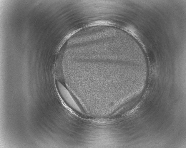 X0000051891049200507222010