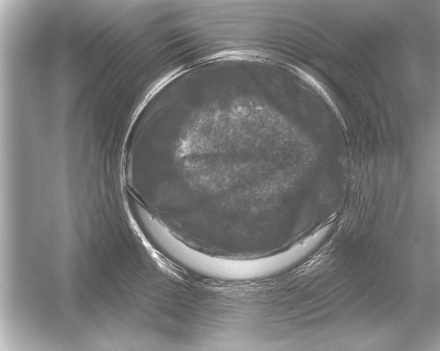 X0000051891050200507222011