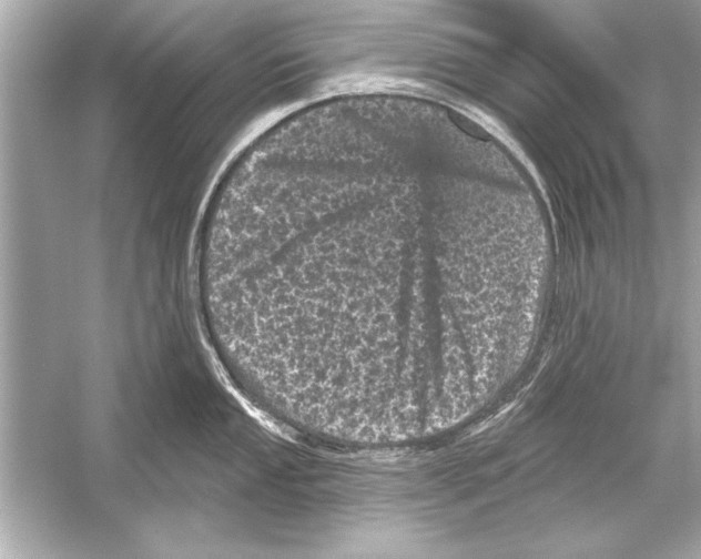 X0000051891053200507222011