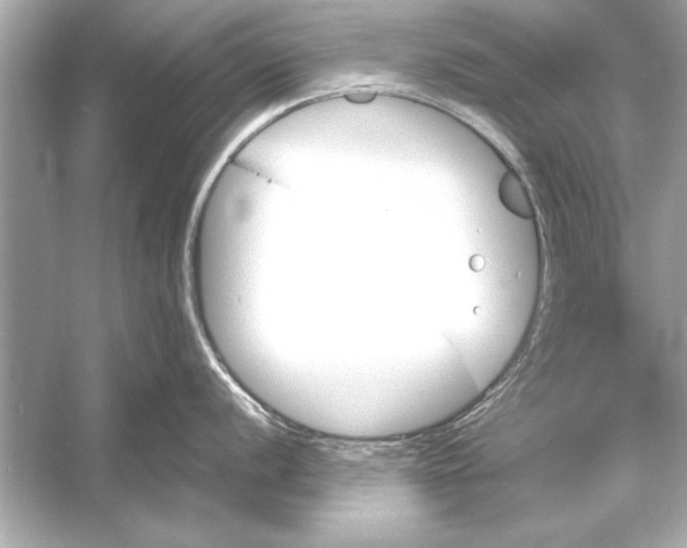 X0000051891056200507222011