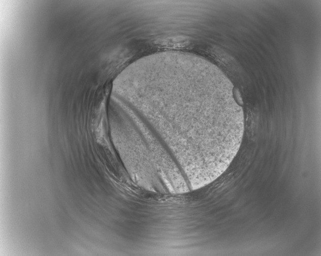 X0000051891058200507222010