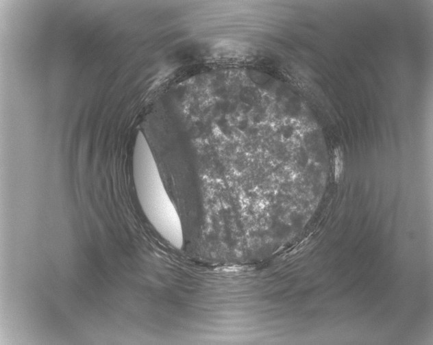 X0000051891059200507222010