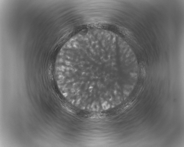 X0000051891060200507222010