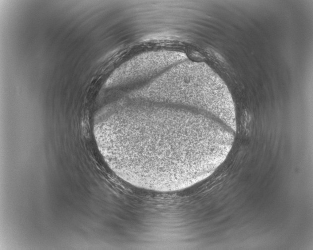 X0000051891062200507222010