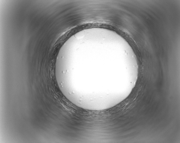 X0000051891064200507222010