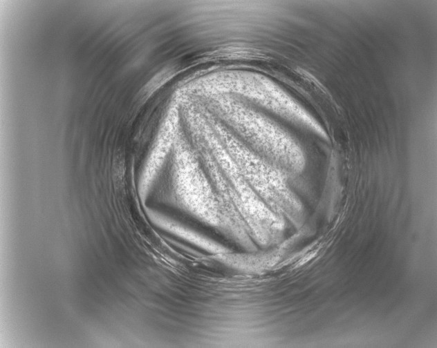 X0000051891065200507222010