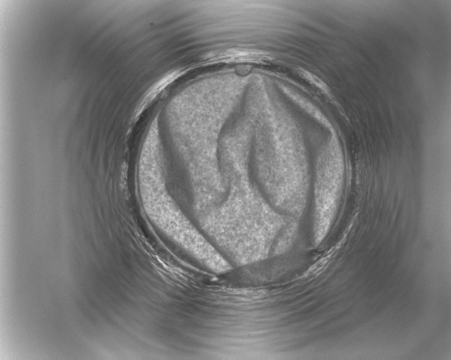 X0000051891066200507222010