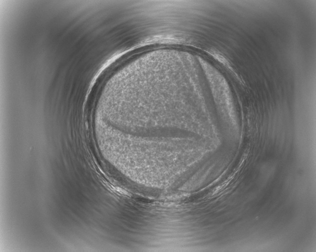 X0000051891070200507222010