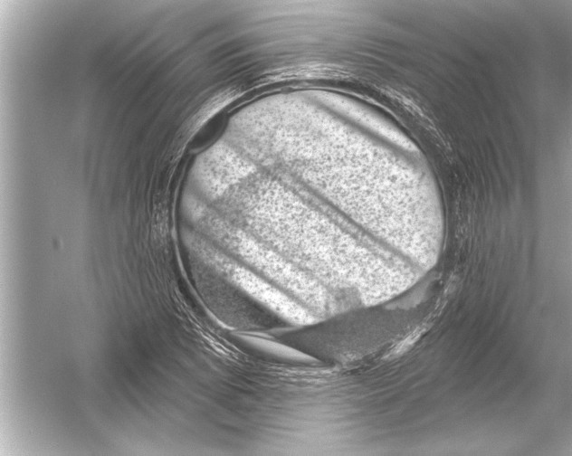 X0000051891073200507222010